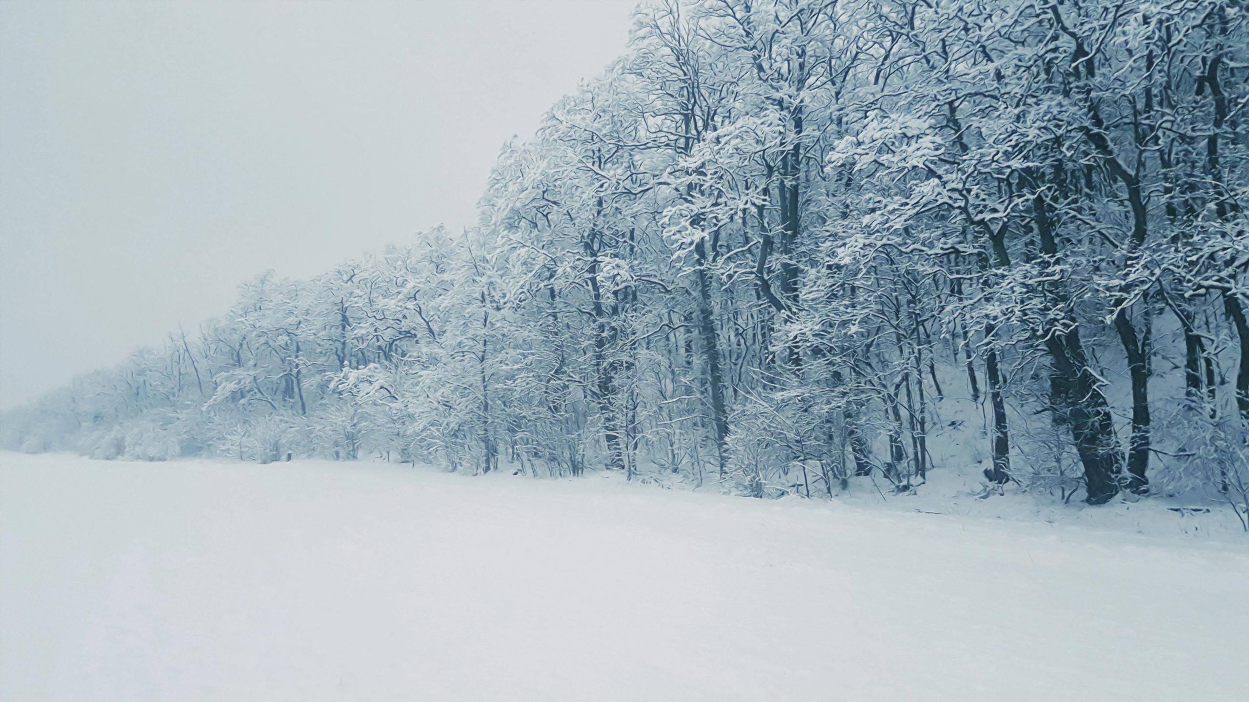 Winter storm knocks out power for a million, and cold becomes the ...